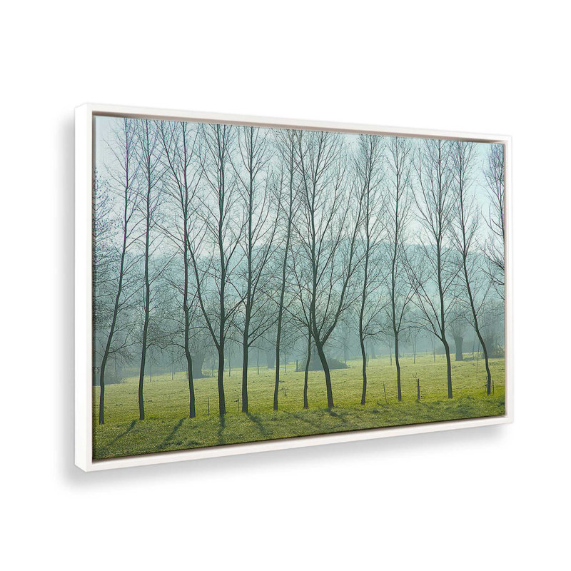 «Misty Normandy Meadow» sur toile par Caroyl La Barge, Cadre flottant blanc, H 14 po x l 20 po x P 1,75 po