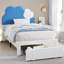 Lit simple tapissier avec tête de lit bleu et blanc et tiroirs de rangement sous le lit