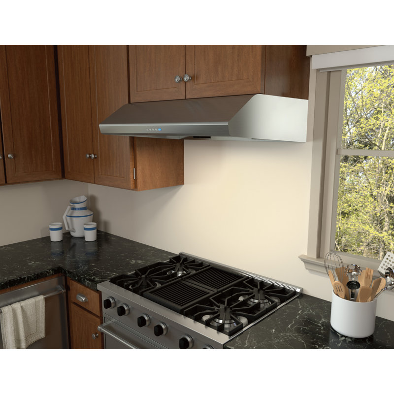 Zephyr Hurricane 30 in. 695 CFM Under Cabinet Range Hood, Stainless Steel