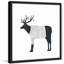 « confortable cerf », impression encadrée-23623388