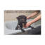 Cute French Bulldog Bath Canvas Wall Art-1530826684