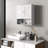 Damyla Wall Mounted Medicine Cabinet with Open Shelf & Adjustable Shelf-569038600