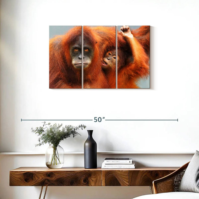 Sumatra Orangutans