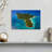Gillard Island In Puerto Rico-107851010
