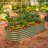 17" Tall 6 In 1 Modular Metal Outdoor Raised Garden Bed-1833642180