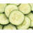 Hamilton Beach® 10 Cup Food Processor