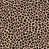 Black Medium Beige