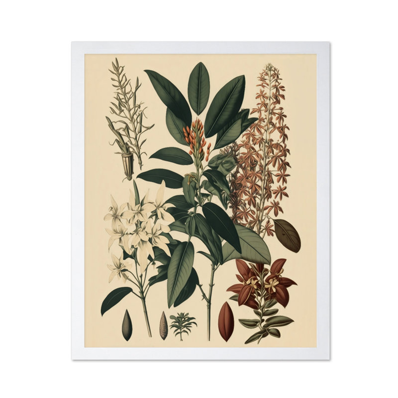Orchidée, Affiche, H 18 po x l 24 po, Encadrement blanc