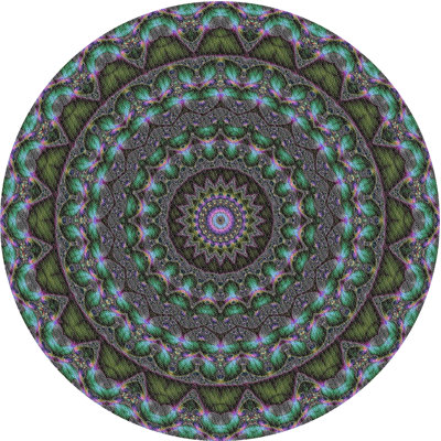 Oriental Indoor Rug