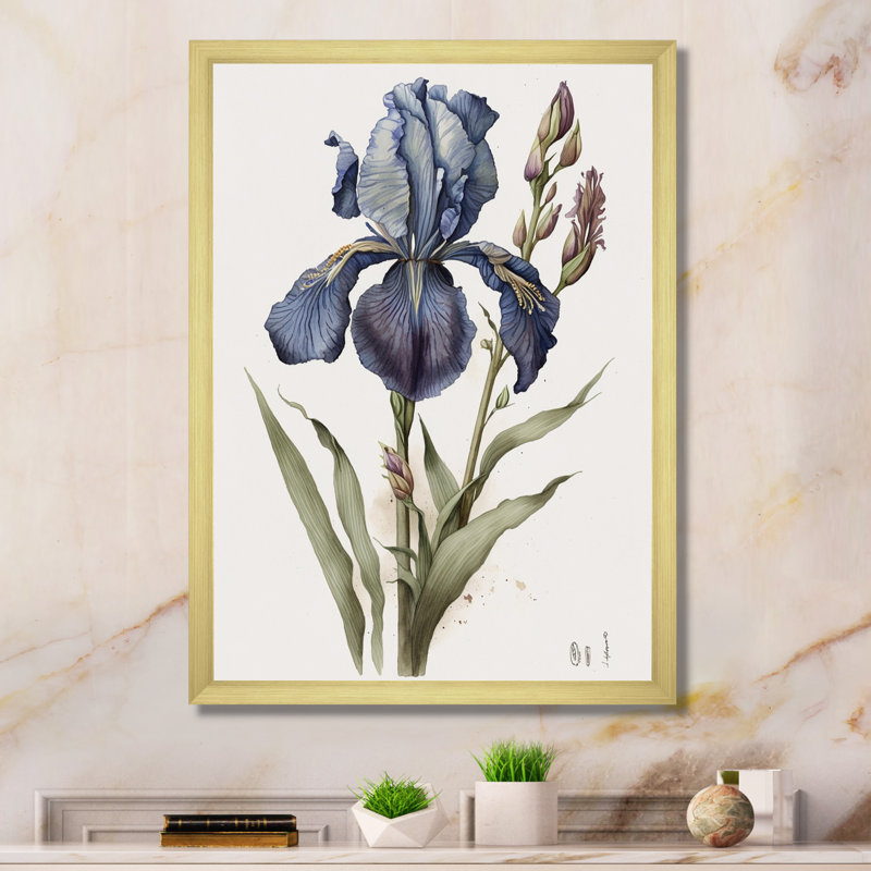 «Blue Iris Botanical Illustration I», reproduction sur toile, Cadre doré à une seule photo, H 32 po x l 16 po x P 1 po