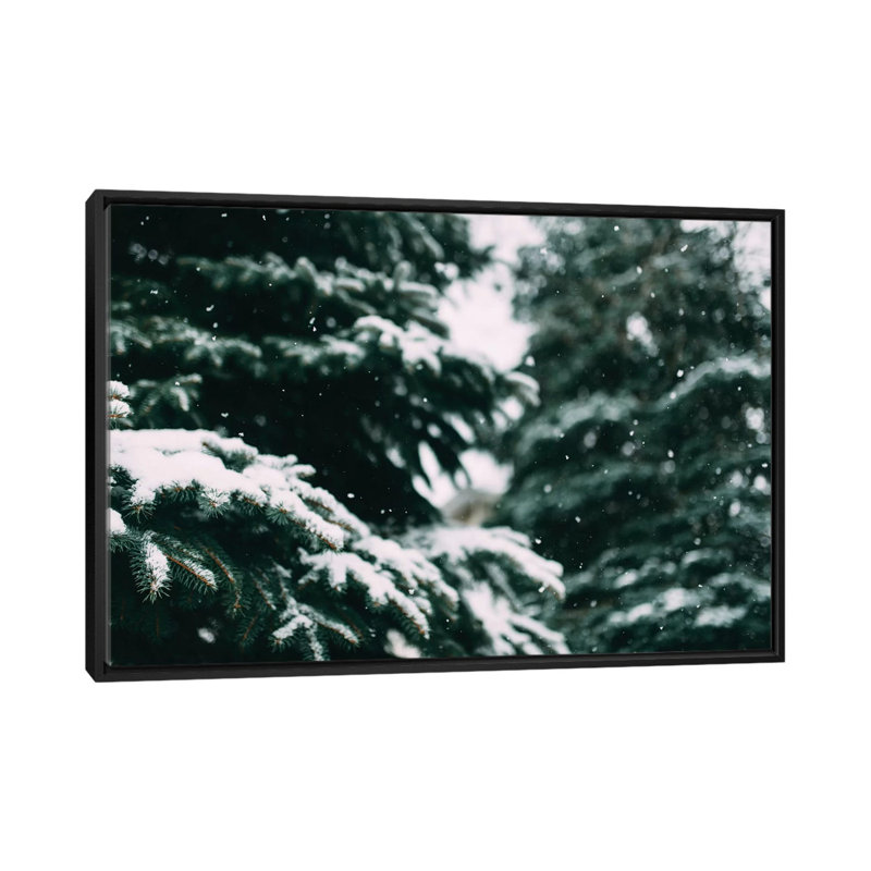 « snow song », reproduction de photo sur toile, H 18 po x l 26 po x P 1,5 po, Toile avec cadre noir, Pas de tapis