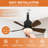 Socket Ceiling Fans With Lights And Remote