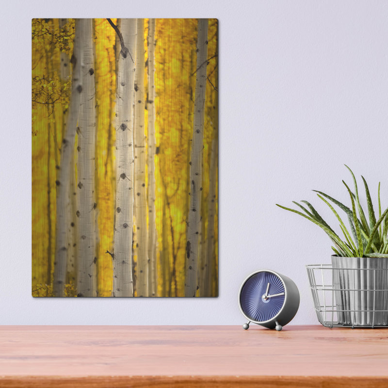 "Aspen Trees" par Jonathan Ross, H 16 po x l 12 po