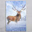 P.F.JOHNSON Rustic Wall Decor on Ceramic