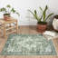Tapis verts lavables antidérapants-1684066805