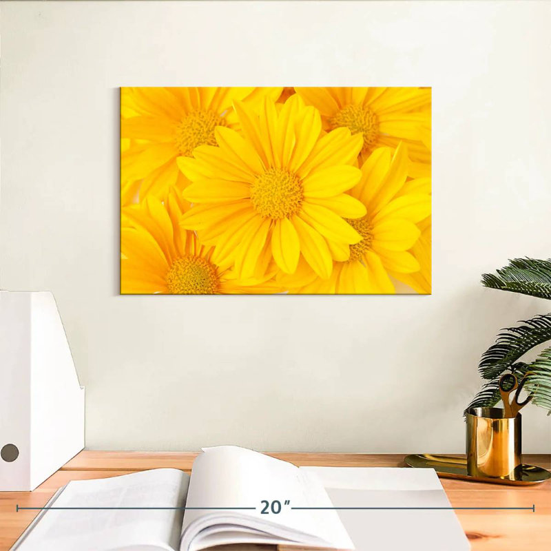Marguerites jaunes Harnek, H 8 po x l 12 po