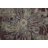 Performance Floral Indoor Rug