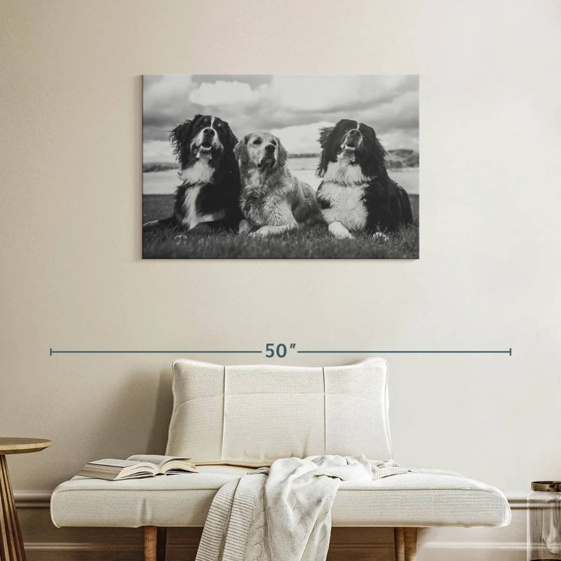 Brampt Bernese Mountain Dogs, 24" H x 36" W