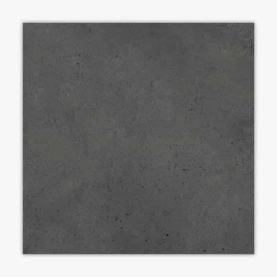 24 in. x 24 in. Matte Porcelain Tile