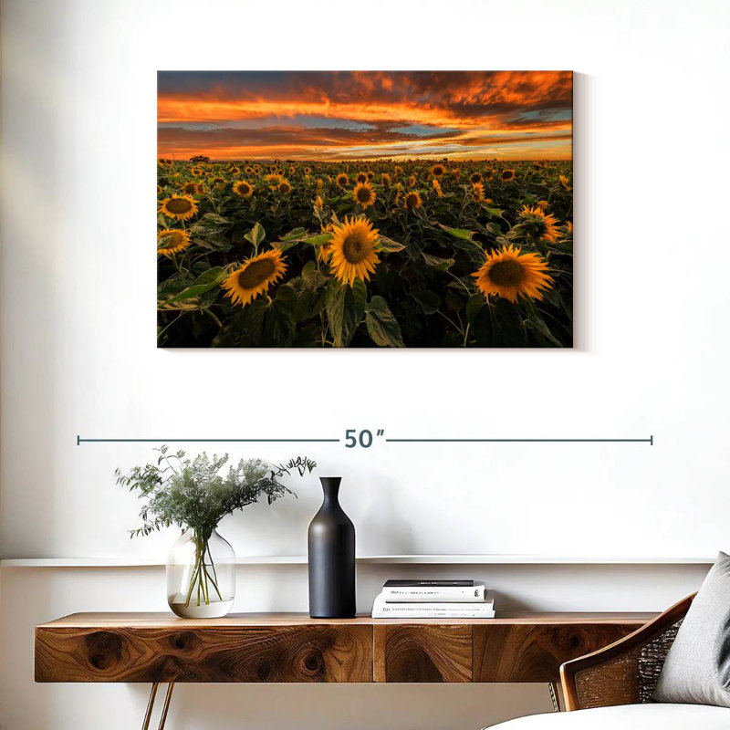 Champ de tournesols d'Alvord, Californie, H 24 po x l 36 po