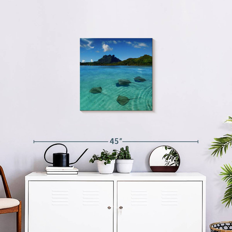 Brampt Bora Bora Stingrays, 20" H x 20" W