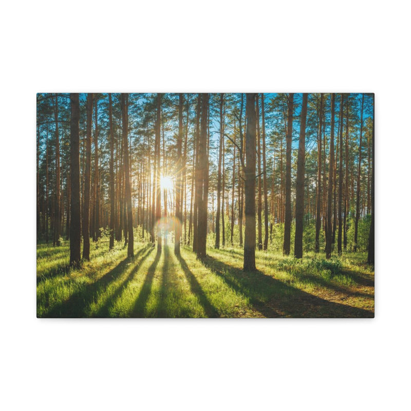 No Frame Print on Canvas, 24cm H x 30cm W