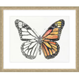 Papillon Croquis 3 Print