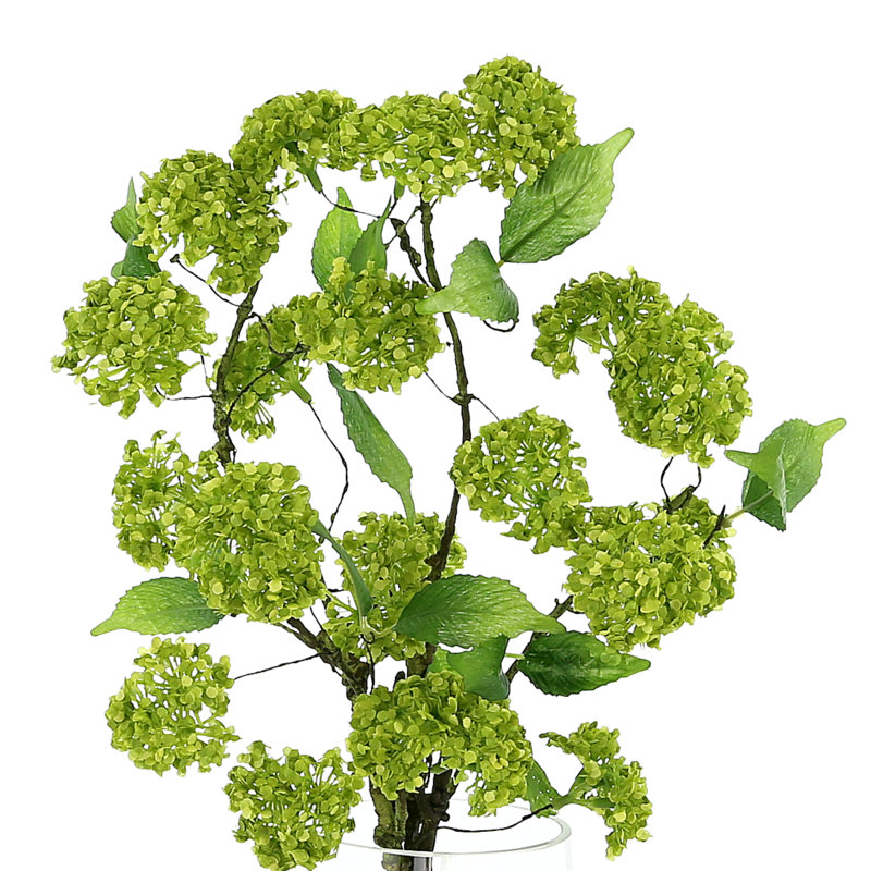 Organic Modern Snowball Viburnum Floral Arrangement