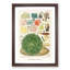Great Barrier Reef Corals by W. Saville-Kent - Picture Frame Painting Print-55575274-55575277
