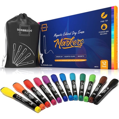 Coloured Magnetic Markers Set Of 12 W/ Bag