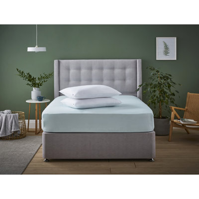 Silentnight Luxury Finish Anti Allergy Pillows