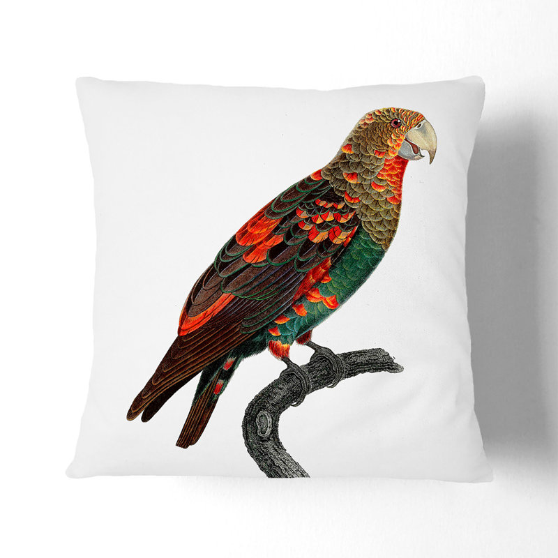 Brown-Necked Parrot Square Throw Cushion, Stone, 40 x 40 cm