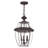 Alexavier 3 - Light LED Outdoor Hanging Lantern Outdoor Lighting-2122974154