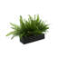 Outdoor UV Rated Ferns Arranged in Fiberstone Planter-1032901548-1065045422