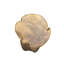 Gouldin Solid Wood Accent Stool-27175831