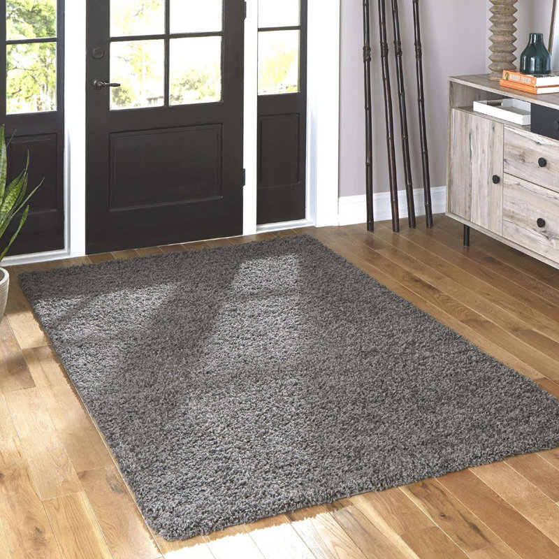Lanzilotta Indoor Rug, Round 4'