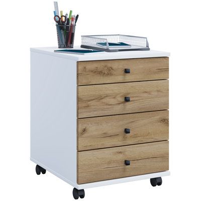 Rayiona 42cm Wide File Cabinet