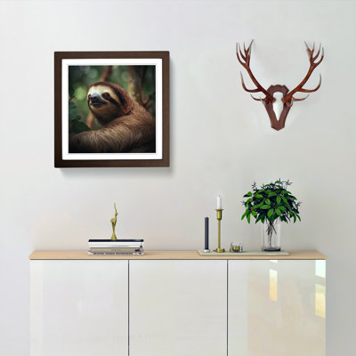 Sloth - Framed Print