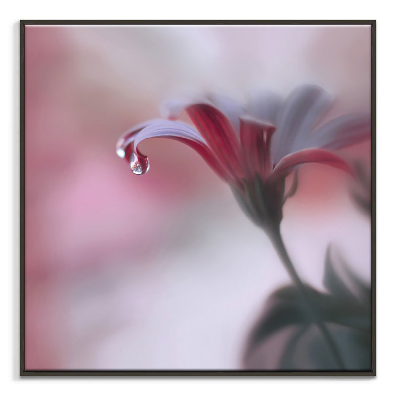 Print on Canvas, 102cm H x 102cm W, Black Floater Frame