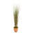 Grass and Bamboo Plant in Terra-Cotta Planter