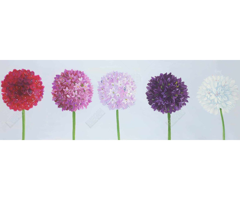 " Dahlia Pomponowa "