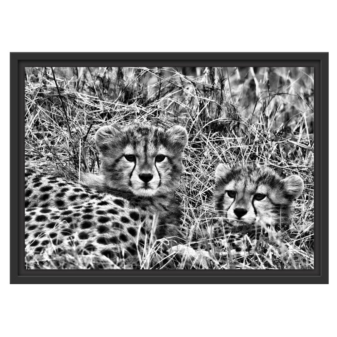 Gerahmter Fotodruck Cute Leopard Cubs