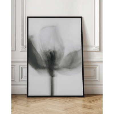 Tulipe mono