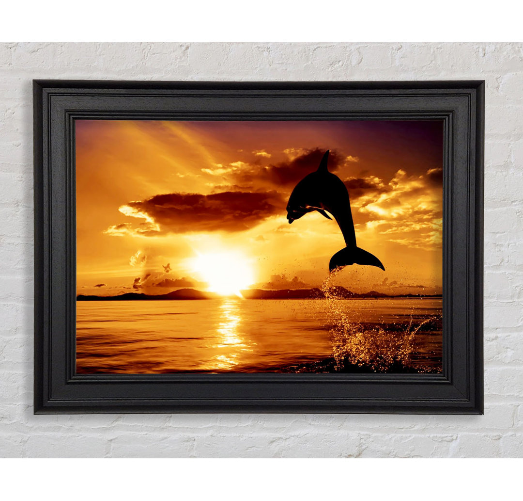 Gerahmtes Bild Dolphin Sunset