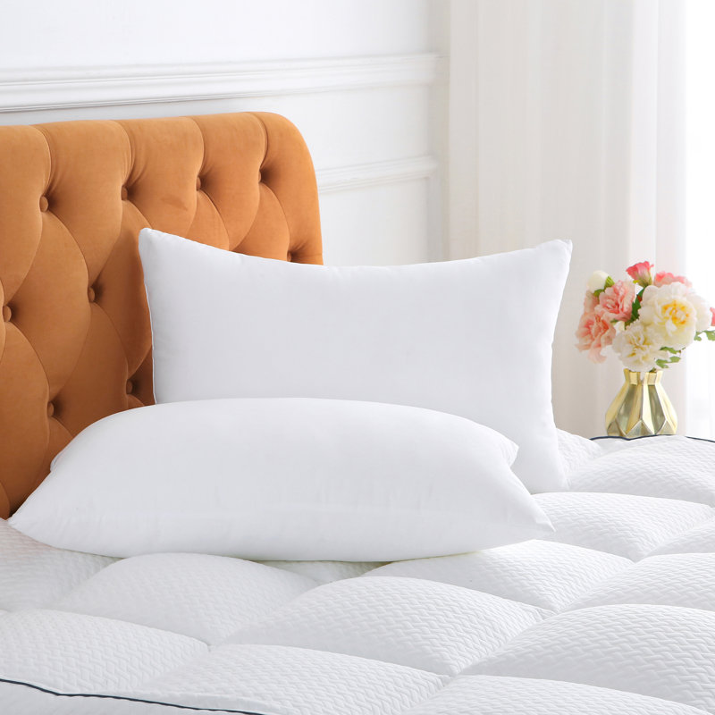 Oreiller en polyester - Sleep by Wayfair ™, Très grand lit, Ferme
