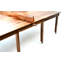 Table Tennis Table with Paddles