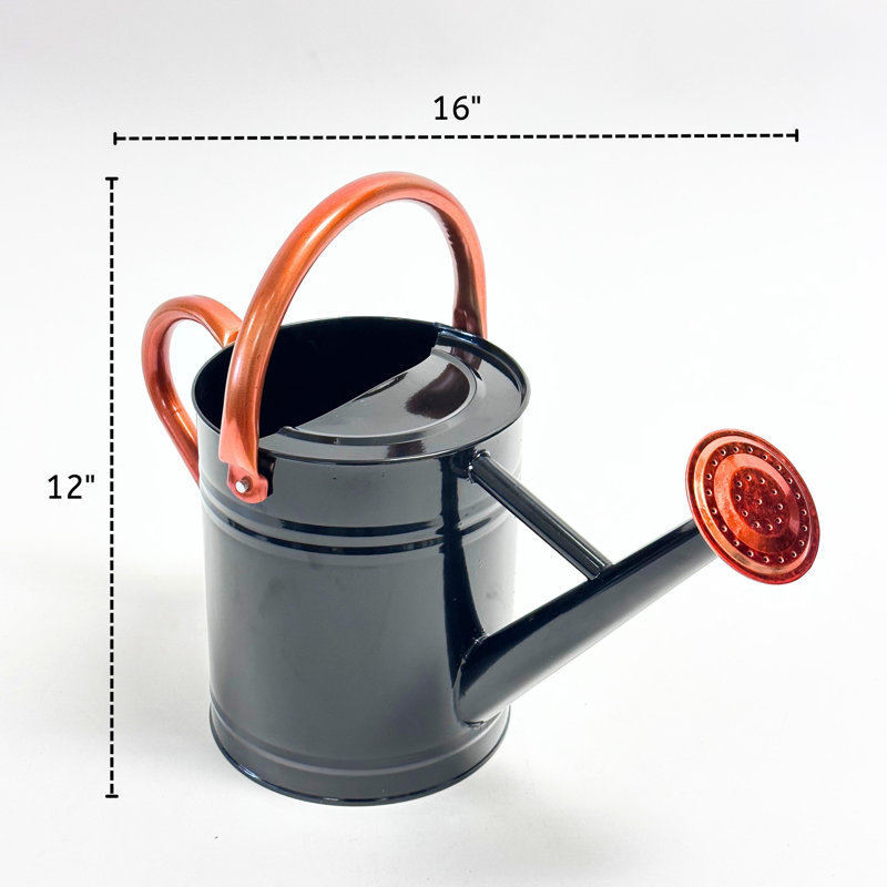 Outils de jardinage pour arrosoir Lexi Home, Noir