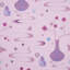 Schumacher x Cristina Buckley Fantasia Wallpaper-64410235