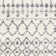 Shiloh Performance Geometric Indoor Rug