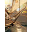 Sunset Sail I Print by Sofia Fox-26939470-26939474